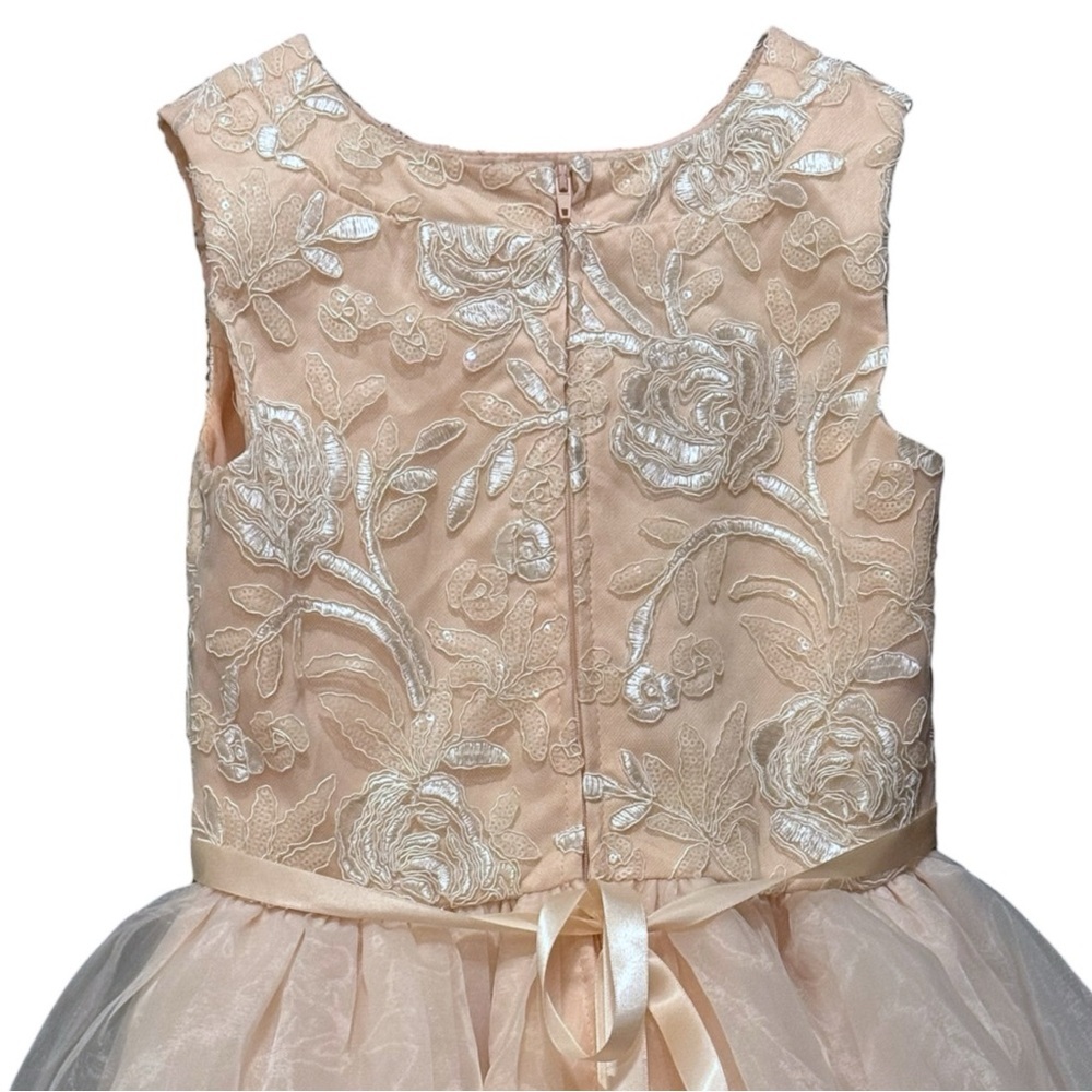 Rare Editions Girls Blush Floral Embroidered Formal Dress Size 10 - Picture 4 of 8